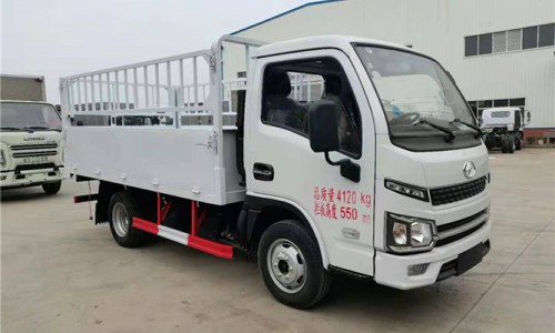 躍進柴油氣瓶運輸車 